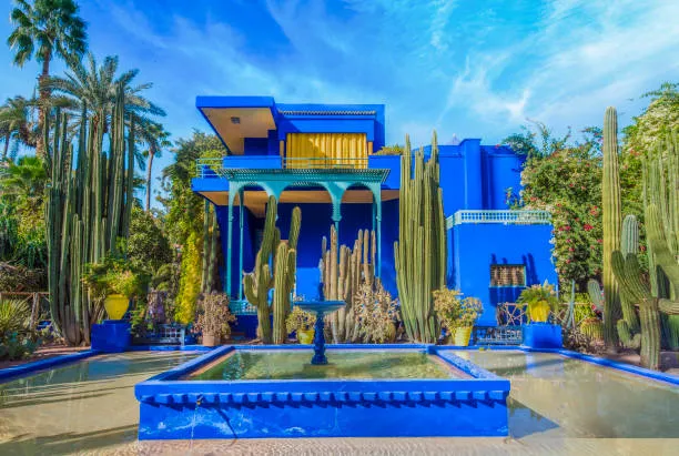 Vibrant Majorelle Garden in Marrakech – DiscoverMoroccoNow Morocco travel attraction