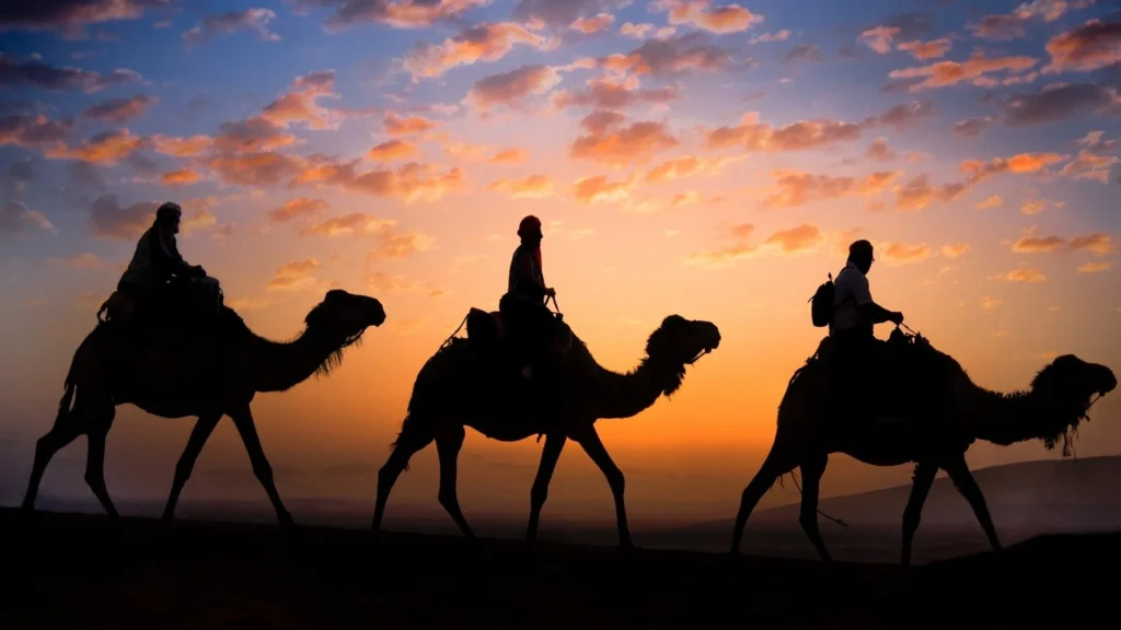 Camel caravan at sunset in the Morocco desert – Discover Morocco Now Sahara desert camel trekking morocco tours