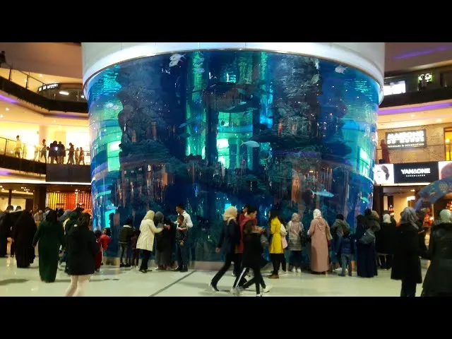 The stunning aquarium at Morocco Mall, a top attraction to visit in Casablanca, featuring a massive cylindrical tank with vibrant marine life, surrounded by shoppers and tourists in the modern mall interior.