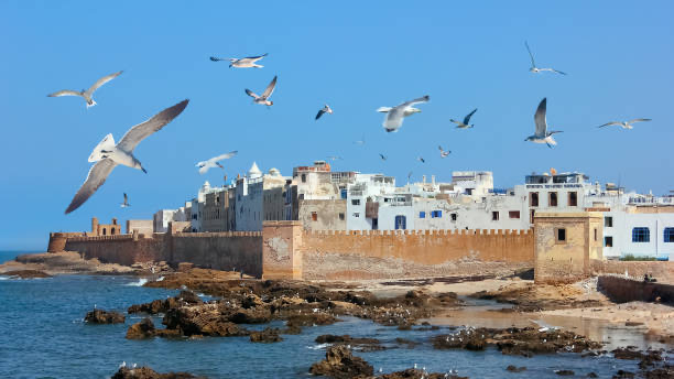 Full-Day Tour to Essaouira from Marrakech