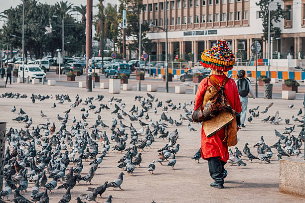 8 days tour from casablanca to marrakech